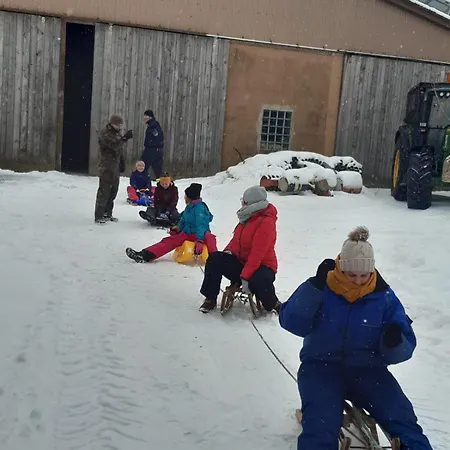 Апартаменты Waldmann